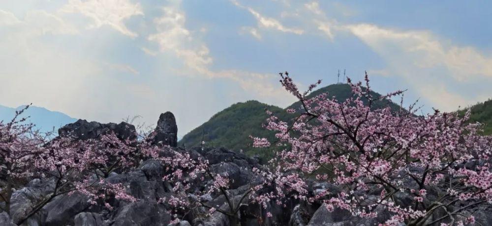 广西灌阳县旅游名村文市镇月岭村旅游观光精华介绍记