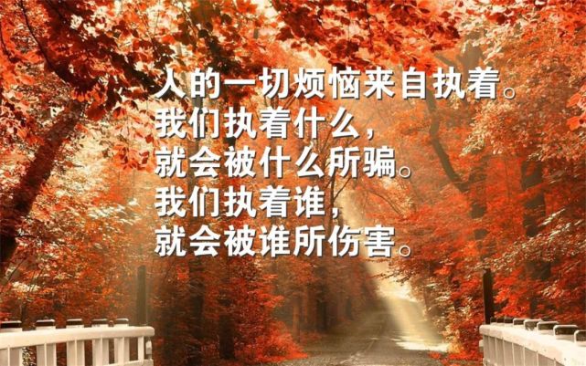 发朋友圈经典的人生哲理句子句句精辟让人深思