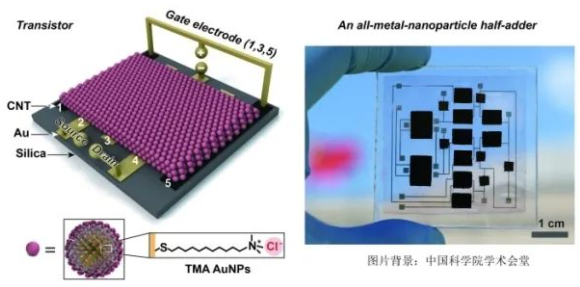 国家纳米科学中心|国家纳米中心等在金属纳米颗粒晶体管研究中取得进展