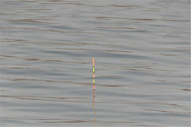 图解挂单饵调漂步骤一饵躺底一饵触底不灵不钝适合春钓鲫鱼