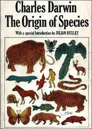 细胞|细胞间存在“秘密战争”？人造器官能否跨越这个难关？