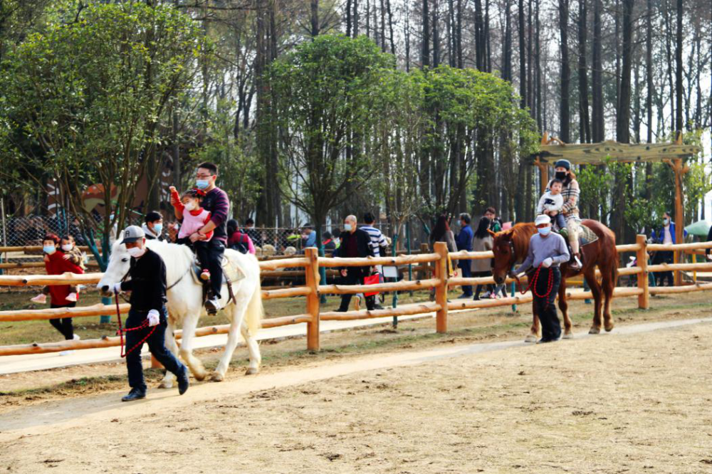 牛年新春 武漢野生動物王國迎來新春開門紅