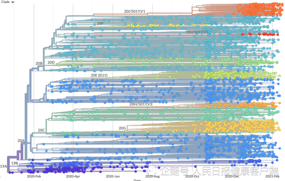 新冠病毒|新冠病毒变异株超一千个，专家：应对变异病毒将成今年新挑战