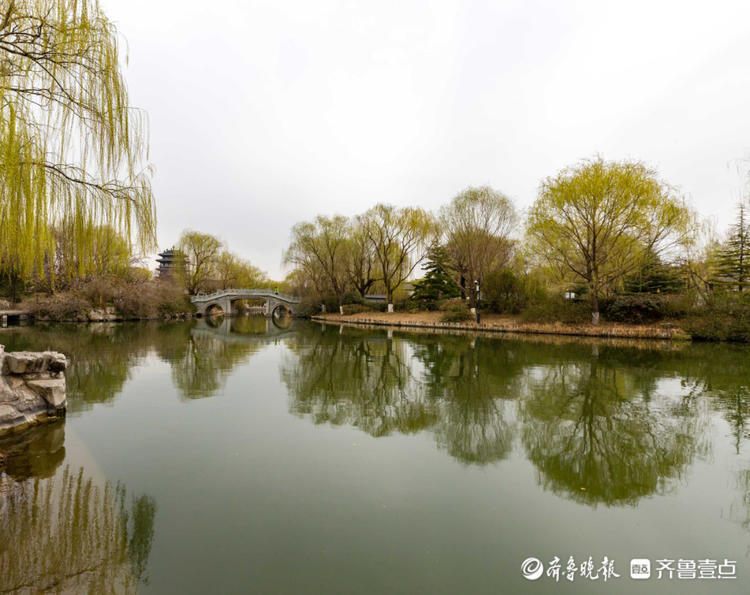 情报站|春水初生!济南大明湖倒映着明媚的春天