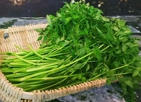 一种空心野菜 虽有臭味价值高 3月宁少吃一顿肉 也不可错过它 水芹 水田 野芹菜 蔬菜 空心菜 野菜