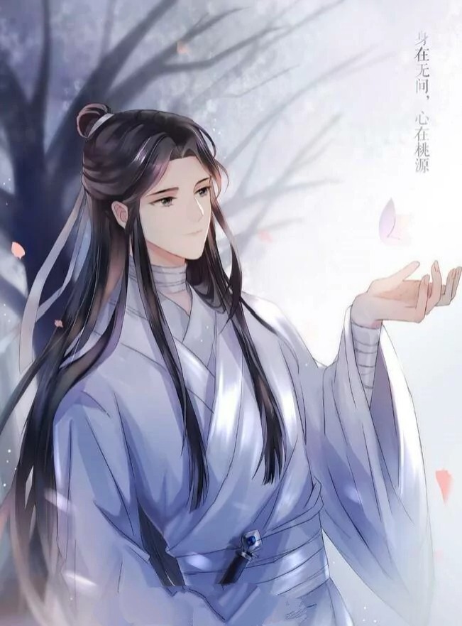 天官赐福高清单人花城谢怜壁纸最后两张绝了