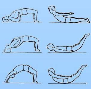 双肘和后头部为支点(五点支撑)用力将臀部抬高,如拱桥状,随着锻炼的