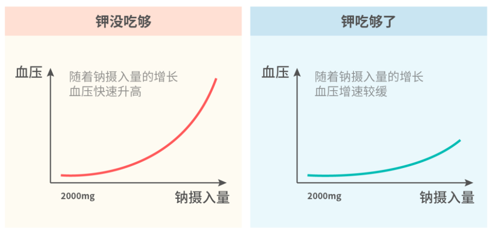 血压|血压高要多吃 1 种东西，很多人却不知道