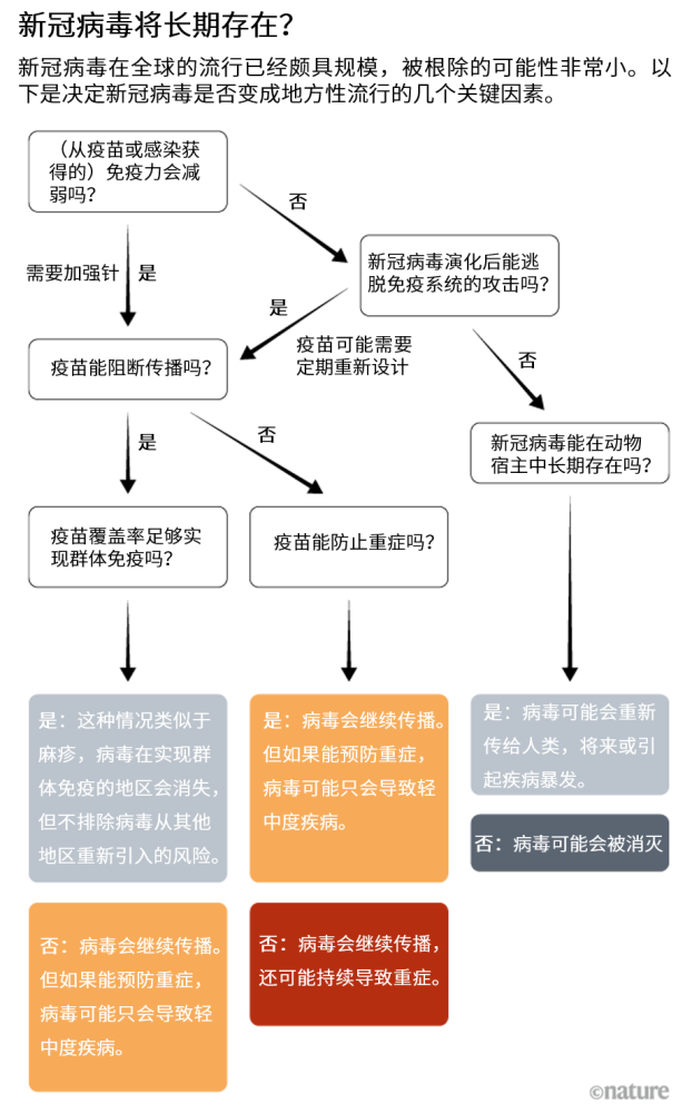 新冠病毒|新冠病毒或将长期存在，成为地方性流行，我们该如何应对？