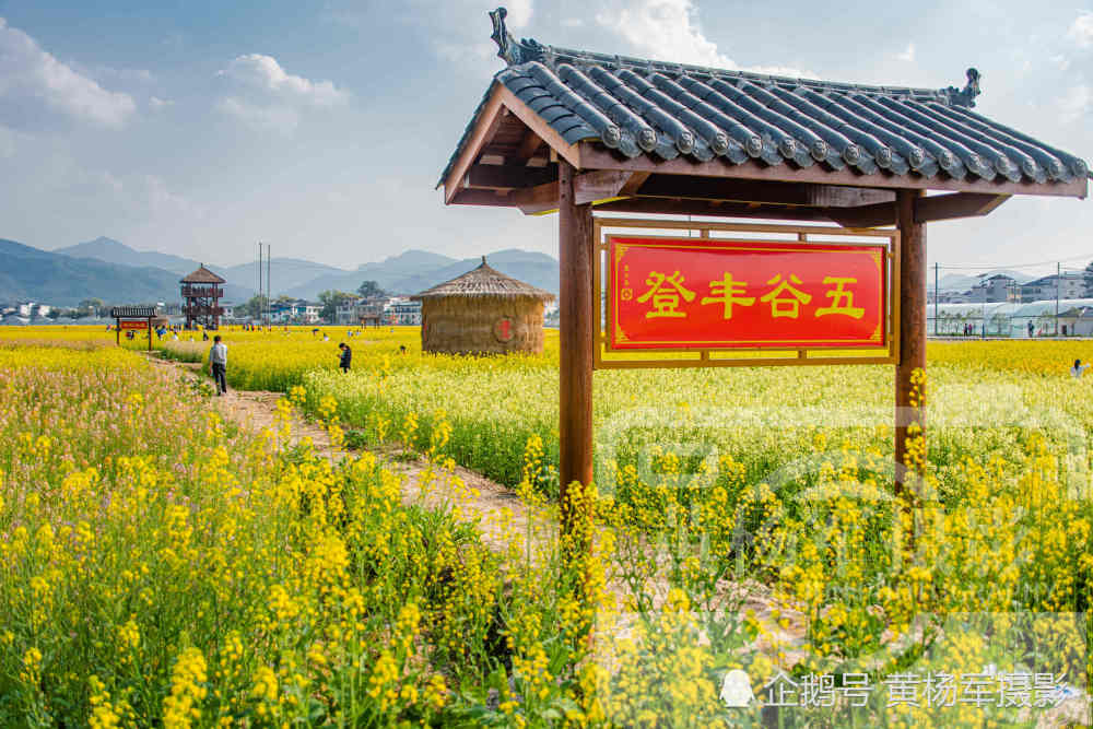 贛州七百餘年曆史的古村,城裡人扎堆打卡,距于都縣城9.9公里