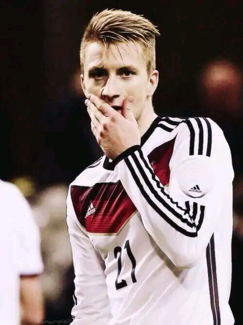 小火箭罗伊斯滴介绍来啦!