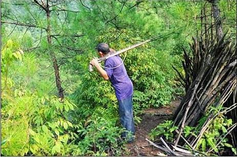 日本投降后将宝贝藏在山洞中被打猎老汉发现足足装了5大卡车