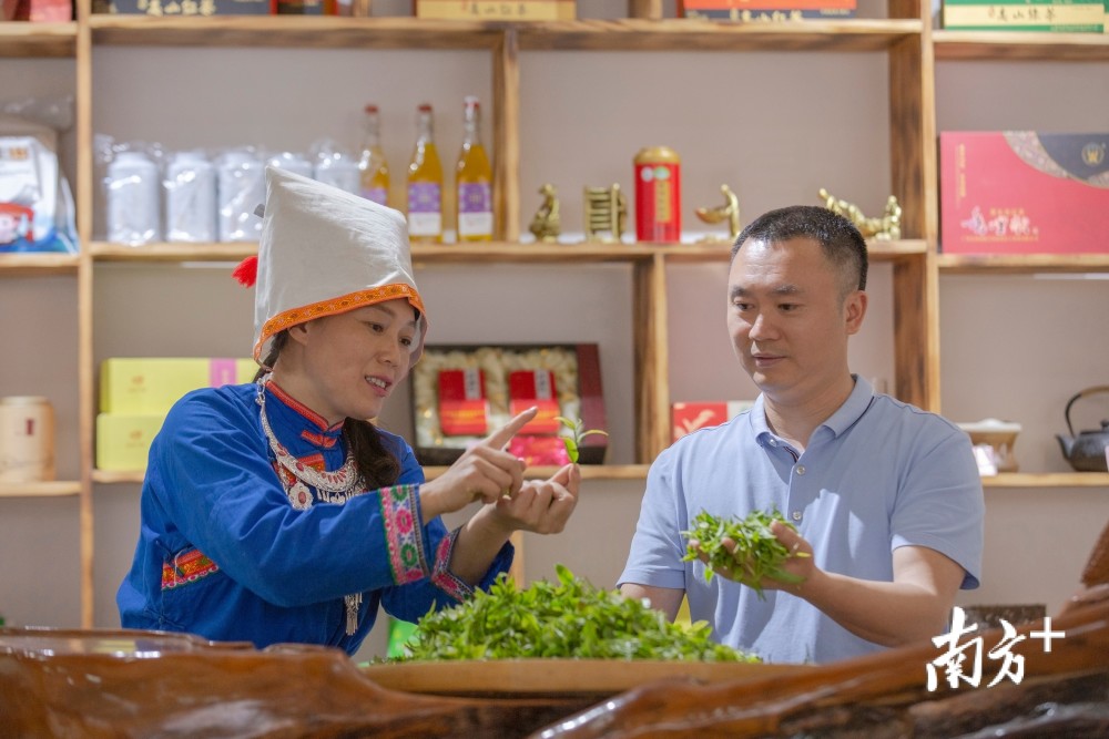 南方日报报道全国脱贫攻坚先进个人张世雄希望金秀变得越来越好