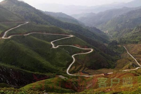 在八里畈镇七龙山村福华农业生态科技园,盘旋于山间的水泥公路像一条