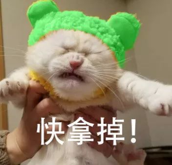 猫:我谢谢你哦好心的网友还主动给帽子换了一个颜色你看,猫咪满脸都写