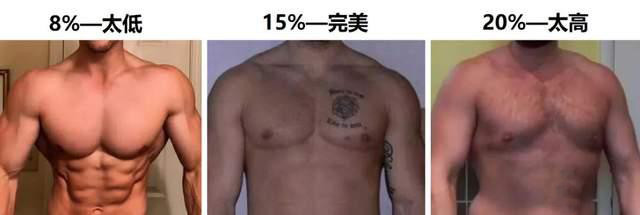 男生体脂率下降到15 身材到底有多好 一张图告诉你 腾讯新闻