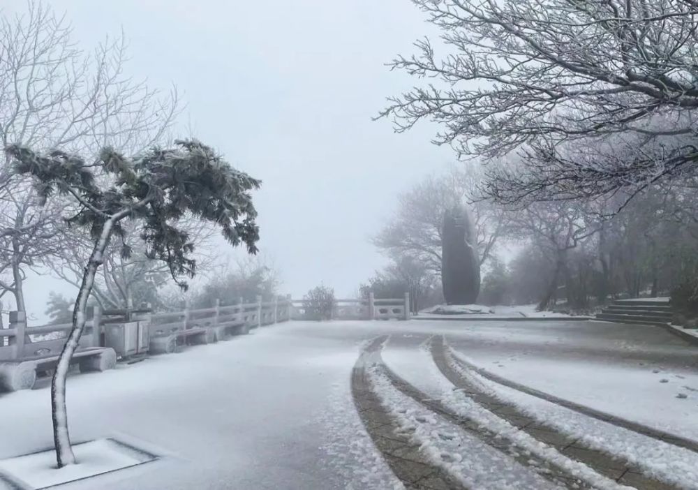 下雪气象图图片