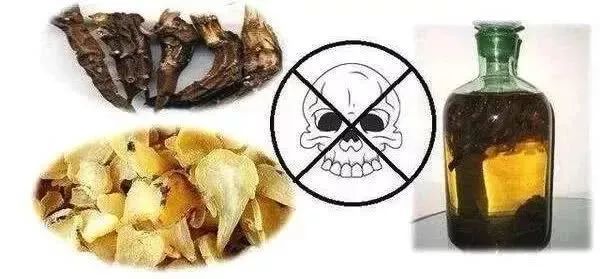 纯乌头碱是毒性极强的生物碱,中毒者会出现 口舌及全身发麻,恶心磐侣