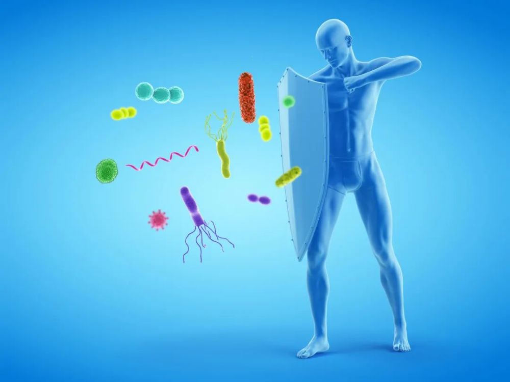 新冠疫苗|只需注射一剂新冠疫苗，这些人群的免疫记忆将大大增强