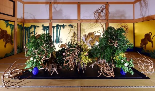 腾讯内容开放平台