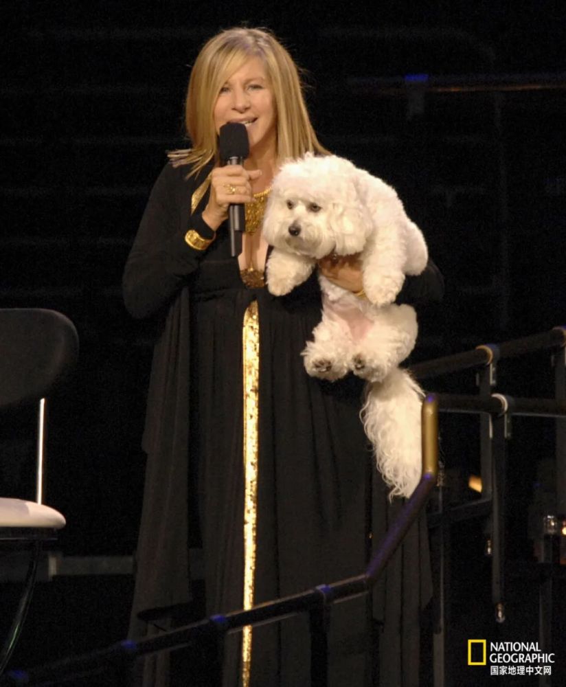 伊丽莎白·安|这种克隆，细思极恐