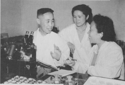 童第周|“克隆之父”童第周，少年逆袭，多次拒绝国外高官利禄，为国争光