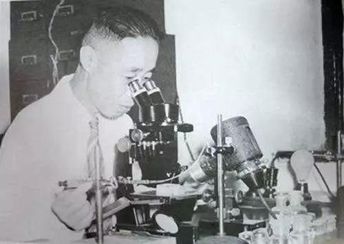 童第周|“克隆之父”童第周，少年逆袭，多次拒绝国外高官利禄，为国争光