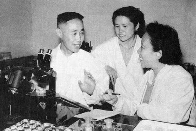 童第周|“克隆之父”童第周，少年逆袭，多次拒绝国外高官利禄，为国争光