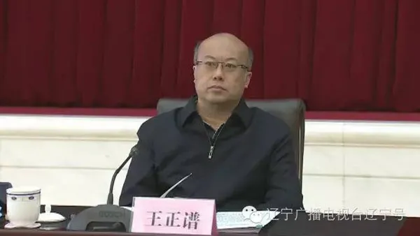 王正谱任国家乡村振兴局首任局长长期在农业部工作
