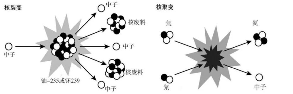 核能|前方核能：1g核反应物，能炖熟多少牛肉？