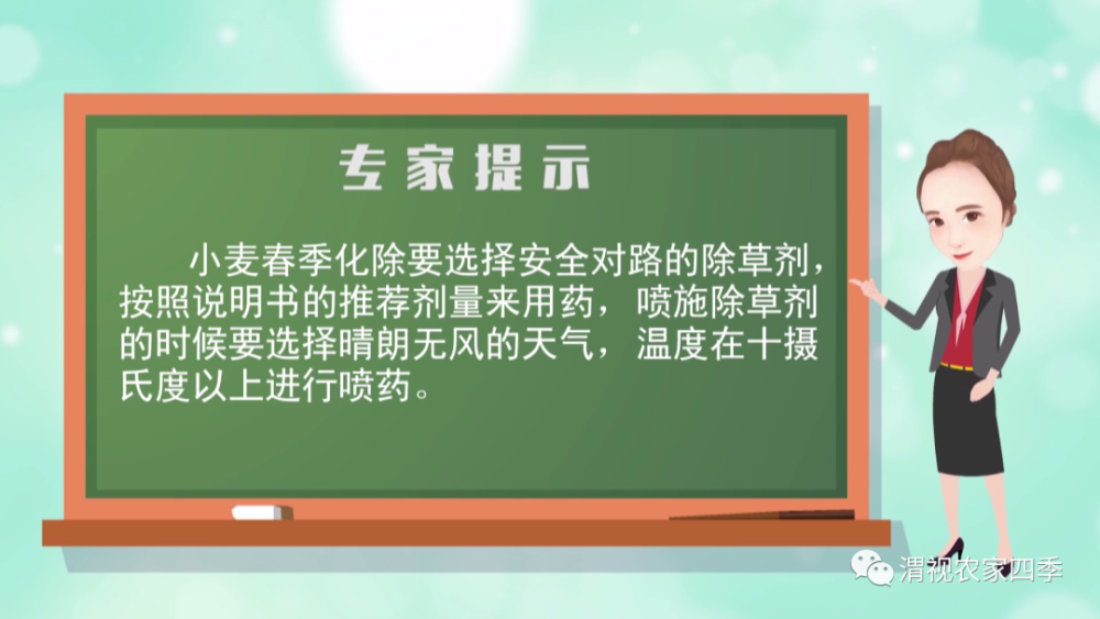 种植户|小麦返青期如何管理？