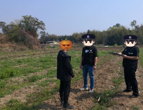 清远一伙偷瓜贼流窜多地盗瓜数万斤