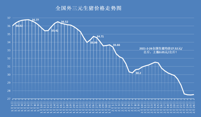 豬價跌到頭行情止跌上漲豬價要火箭反彈附26日豬價預測