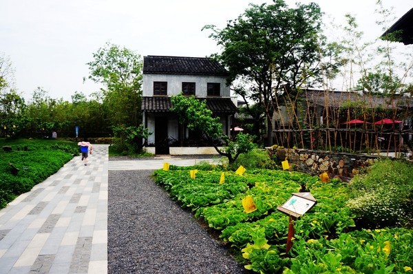 乡村庭院设计如果农村有房干嘛住城里建个这样的院子美翻了