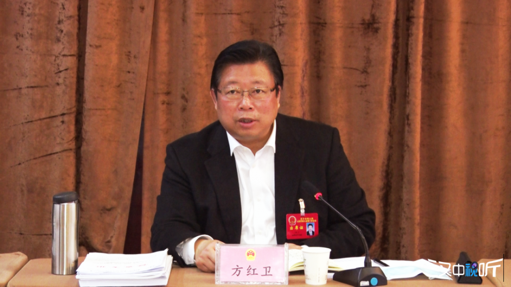方红卫参加西乡南郑代表团审议