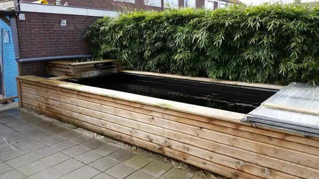 鱼池最开始是长这样的,长方形状,绿植形成天然的背景板,"型有余而量不