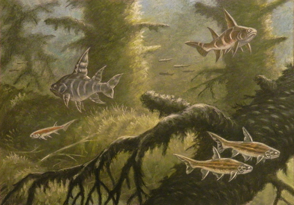 牙齿|现代人遇到的智齿、虫牙问题，与祖先开始吃肉有关？