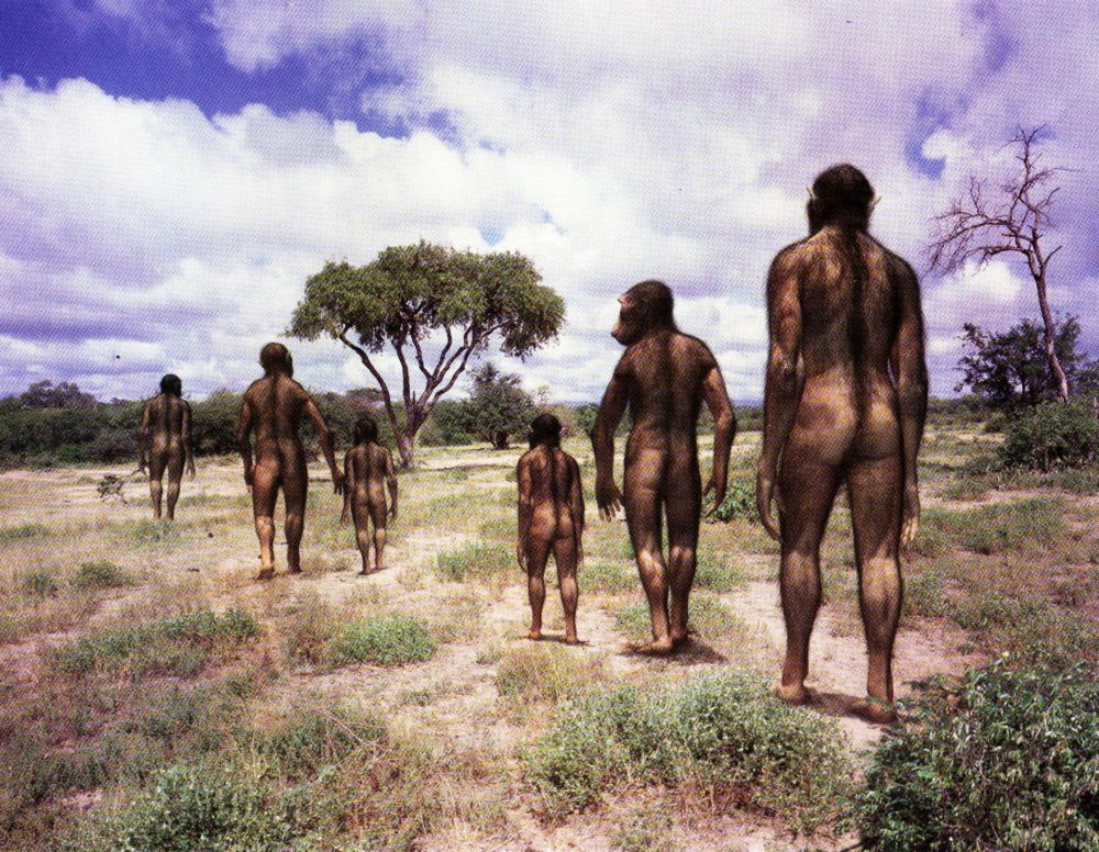 牙齿|现代人遇到的智齿、虫牙问题，与祖先开始吃肉有关？