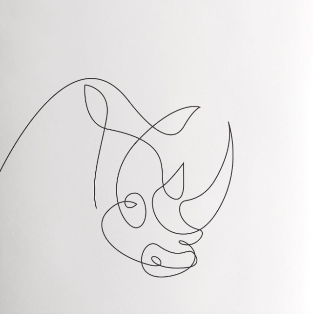 犀牛公鸡牛狼猫海豹松鼠猫头鹰马手部肖像背包丹顶鹤汽车接下来,就让