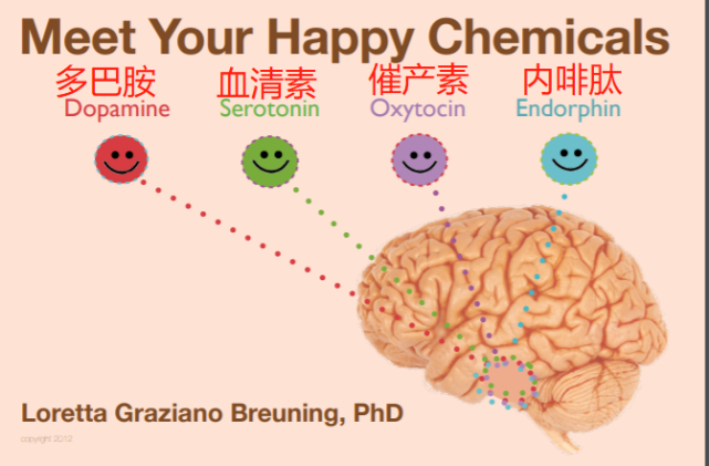 聊一聊4种让我们快乐激素:多巴胺,血清素(5-羟色胺,催产素和内啡肽