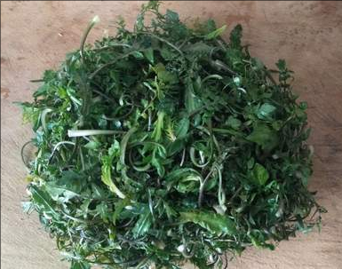 媳妇关注的是哪里有野菜,特别关注哪里有荠荠菜.