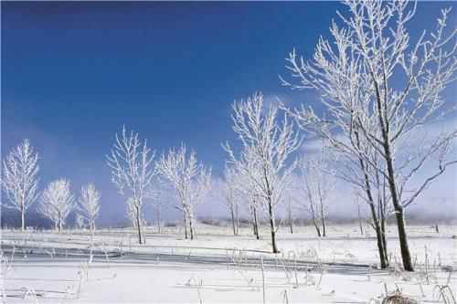 雪国 读后感1000字精选三篇 腾讯新闻