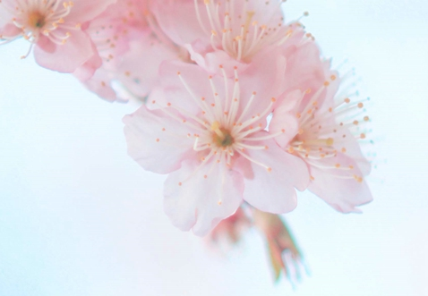 晚安说说致自己一句话精选致自己的晚安语句大 腾讯新闻