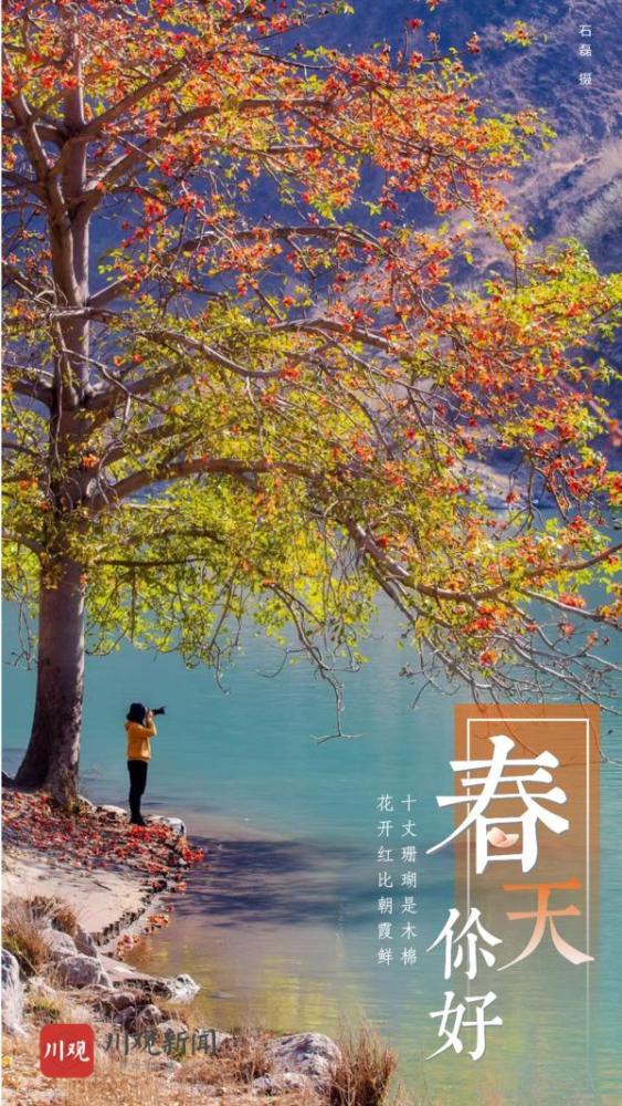 火红木棉花,艳丽三角梅,粲粲油菜花,娇俏樱桃花,妖娆桃花,雪白梨花