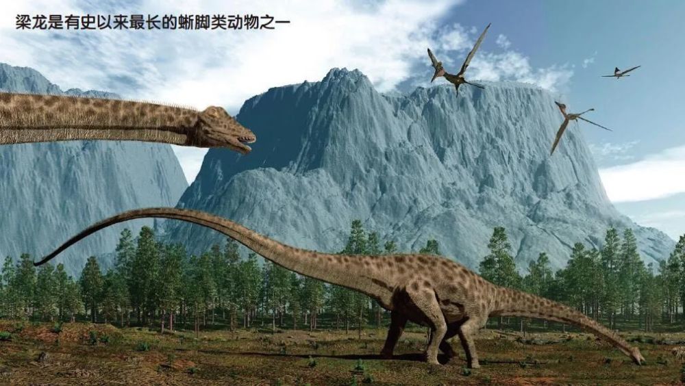 捕食者|“捕食者”动物如何改变了世界？