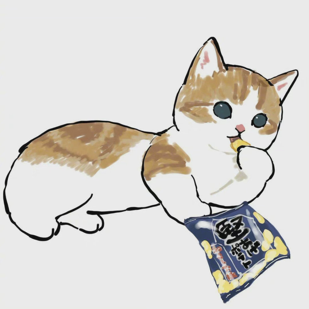 早安喵喵早上好啊各位喵怎么这么可爱