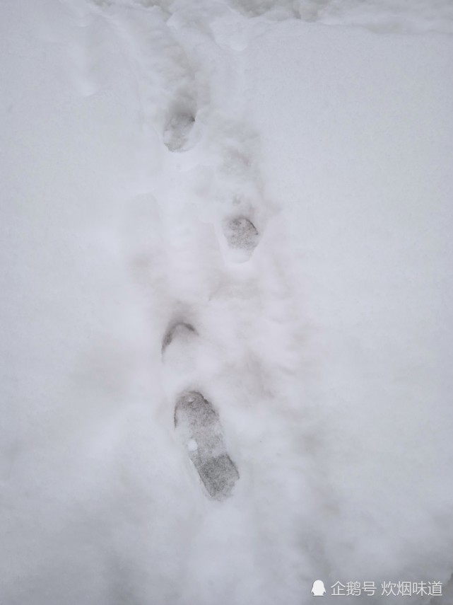 正月十五闹元宵 乌鲁木齐下了一夜大雪 腾讯网