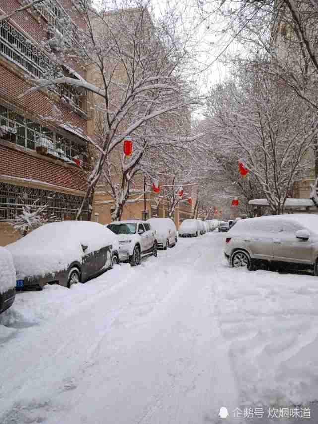 正月十五闹元宵 乌鲁木齐下了一夜大雪 腾讯网