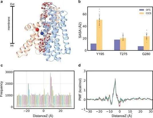 抑郁|脑科学日报：抗抑郁药常见却容易被忽视的副作用——多汗