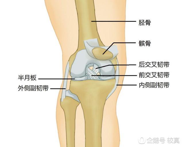 膝关节|一变天关节就痛，关节炎患者真的能“预报天气”吗？